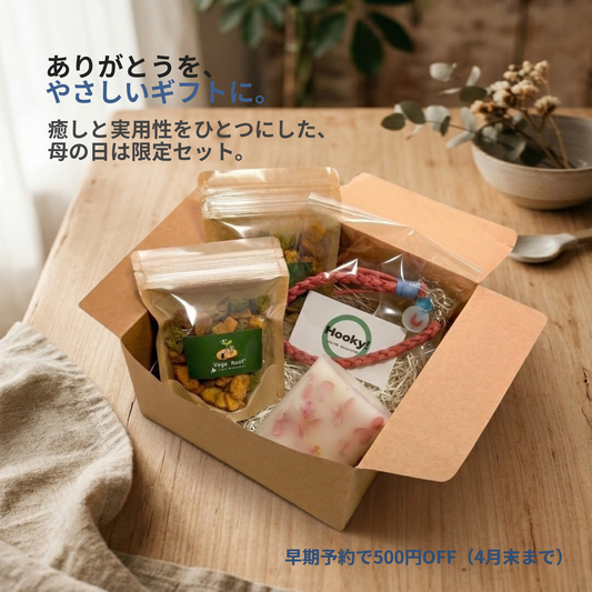 【送料込】母の日に喜ばれる｜北海道産ベジラスク＆選べる癒しギフトセット